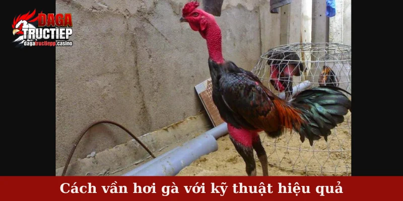 Cách vần hơi gà với kỹ thuật hiệu quả